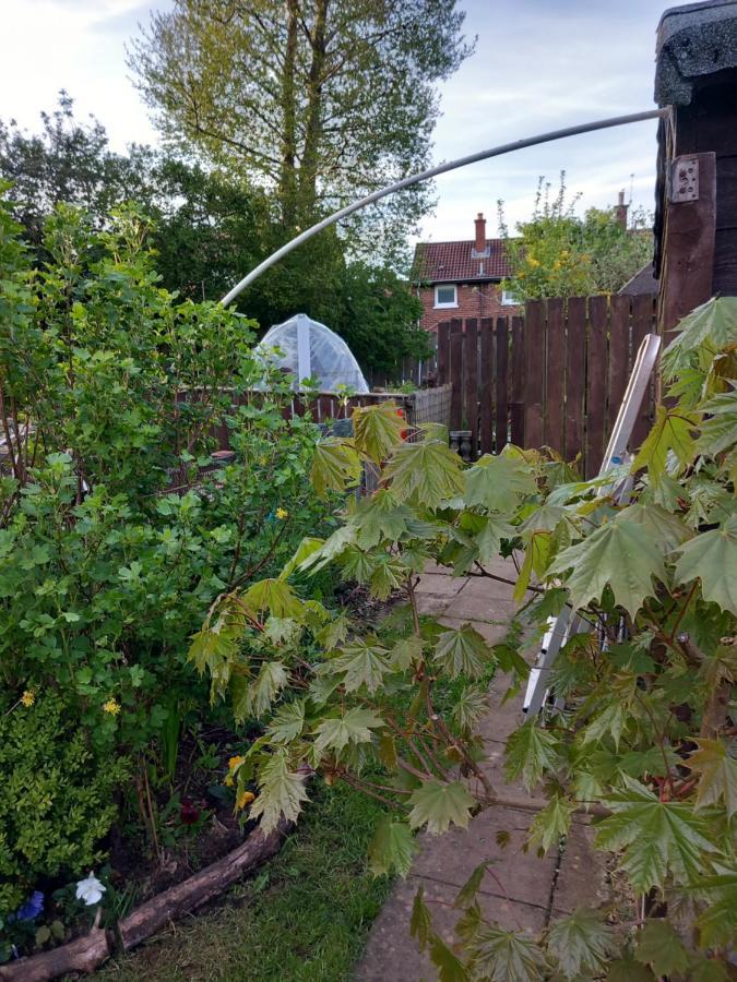 Waveney Villa Belfast Buitenkant foto